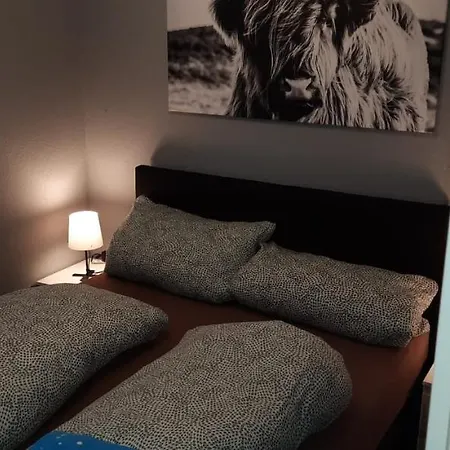 Apartment Zentrum Moewennest